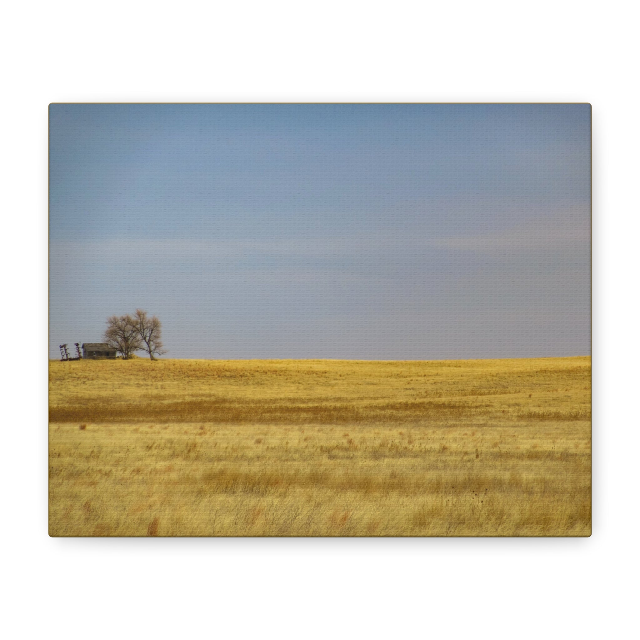 Prairie Field Canvas Print — Minimal Landscape Wall Art