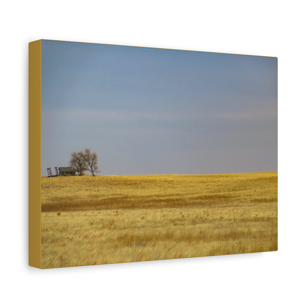 Prairie Field Canvas Print — Minimal Landscape Wall Art