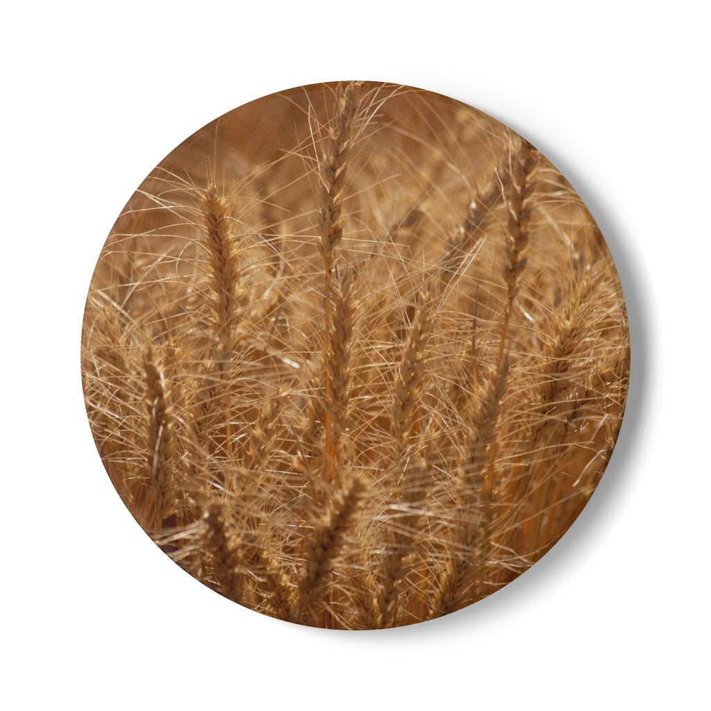 Wheat Field Ceramic Coaster — Rustic Autumn Farmhouse Drink Coaster