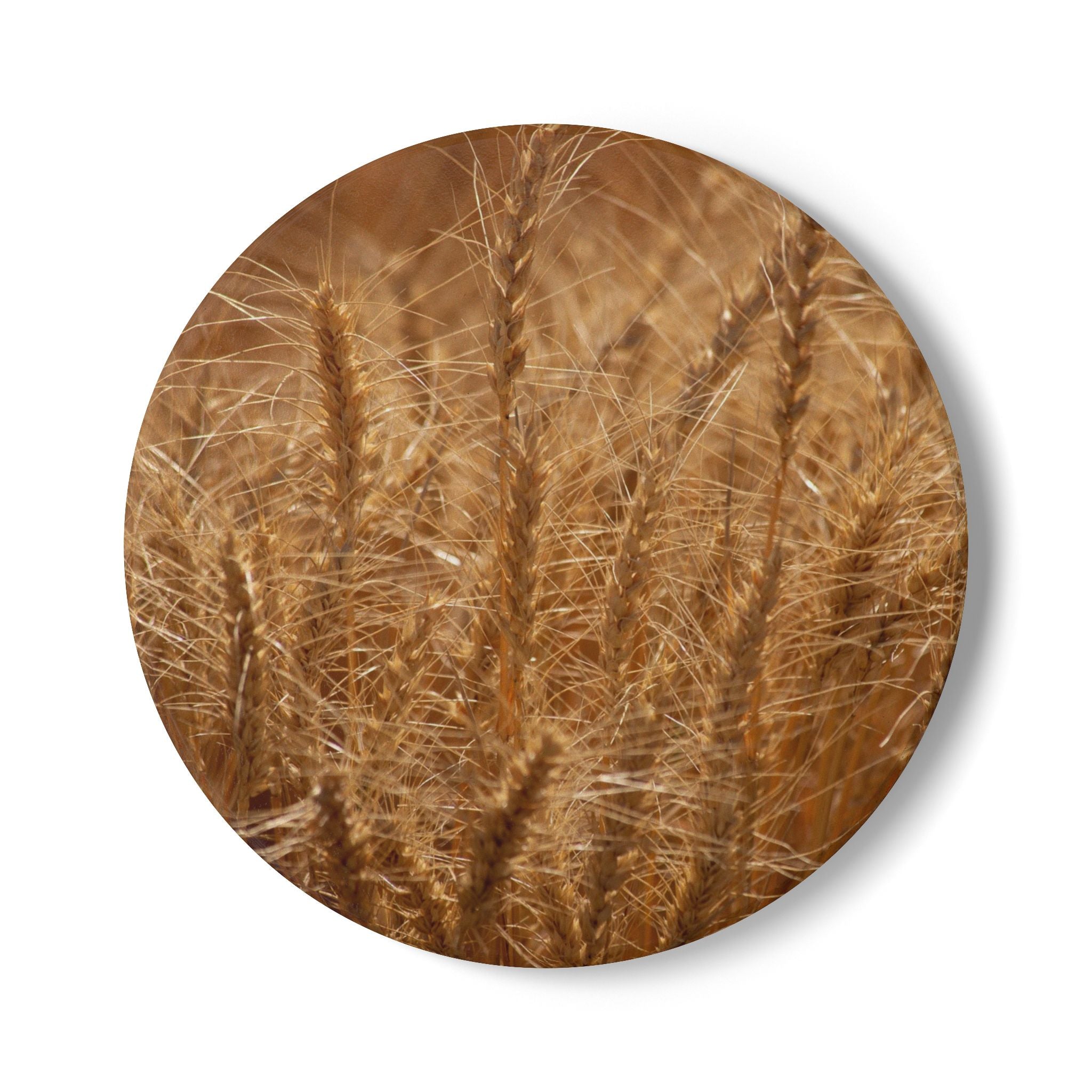 Wheat Field Ceramic Coaster — Rustic Autumn Farmhouse Drink Coaster