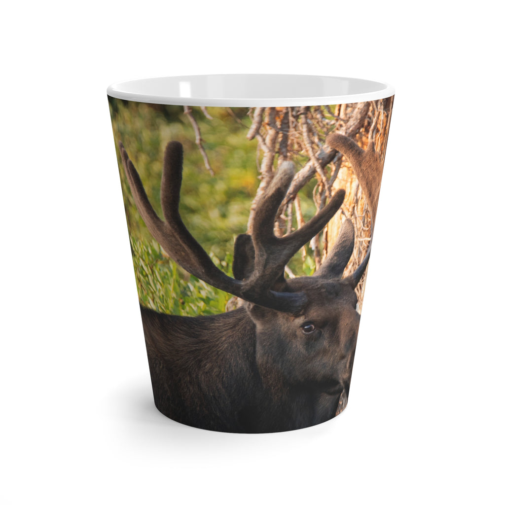 Bull Moose Antlers Latte Mug | Wildlife Photography, Nature Coffee Cup