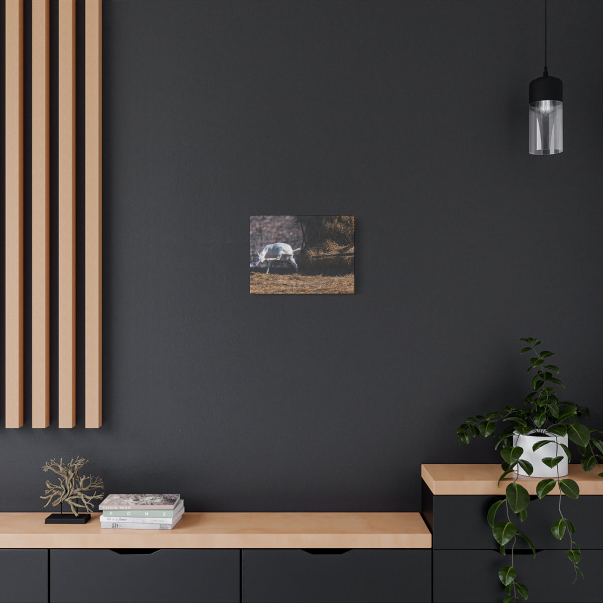 White Goat Canvas