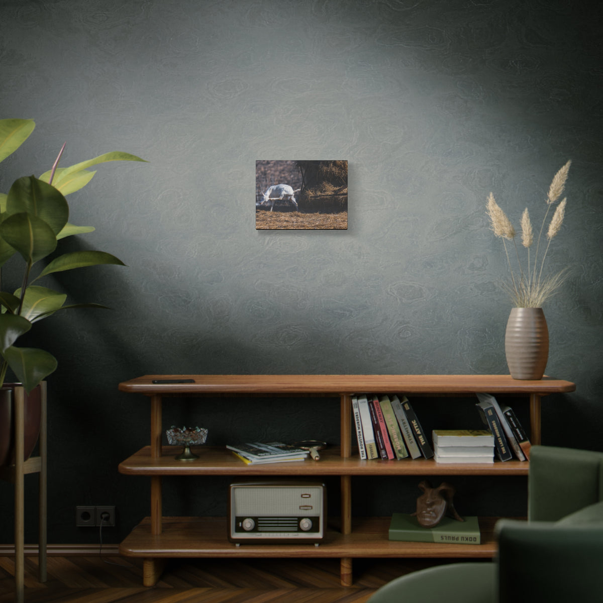 White Goat Canvas