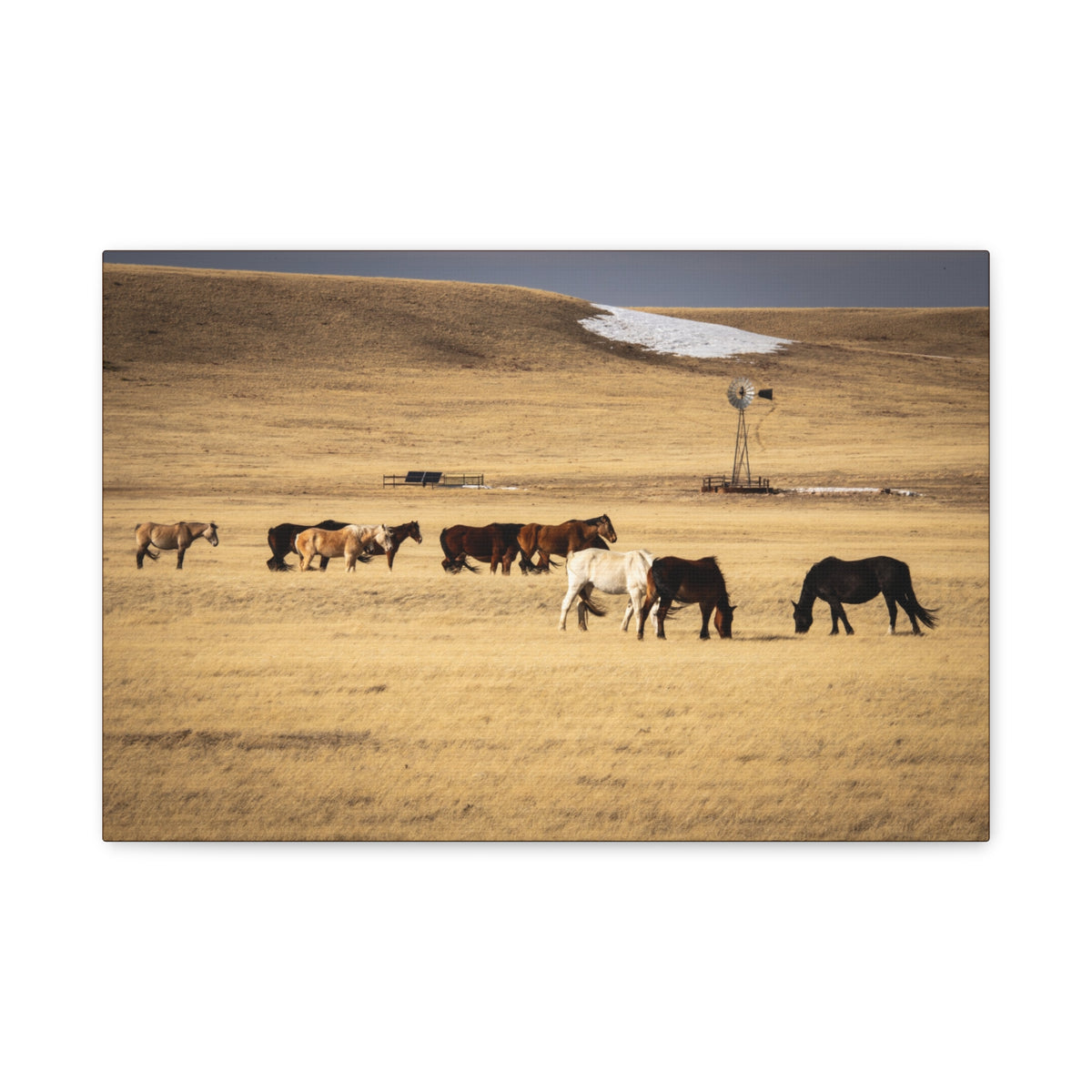Grazing Horses Canvas Print – Rustic Prairie Wall Art (Matte Stretched 1.25")