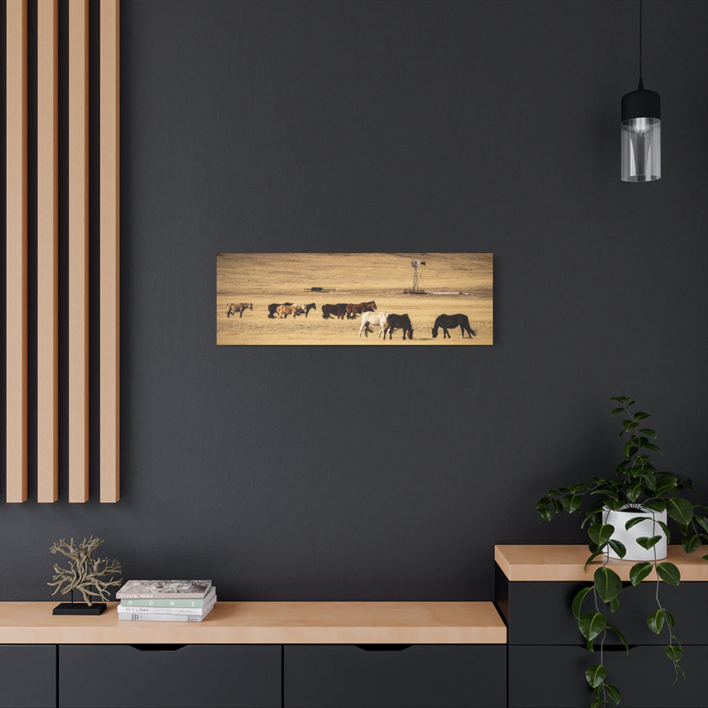 Grazing Horses Canvas Print – Rustic Prairie Wall Art (Matte Stretched 1.25")