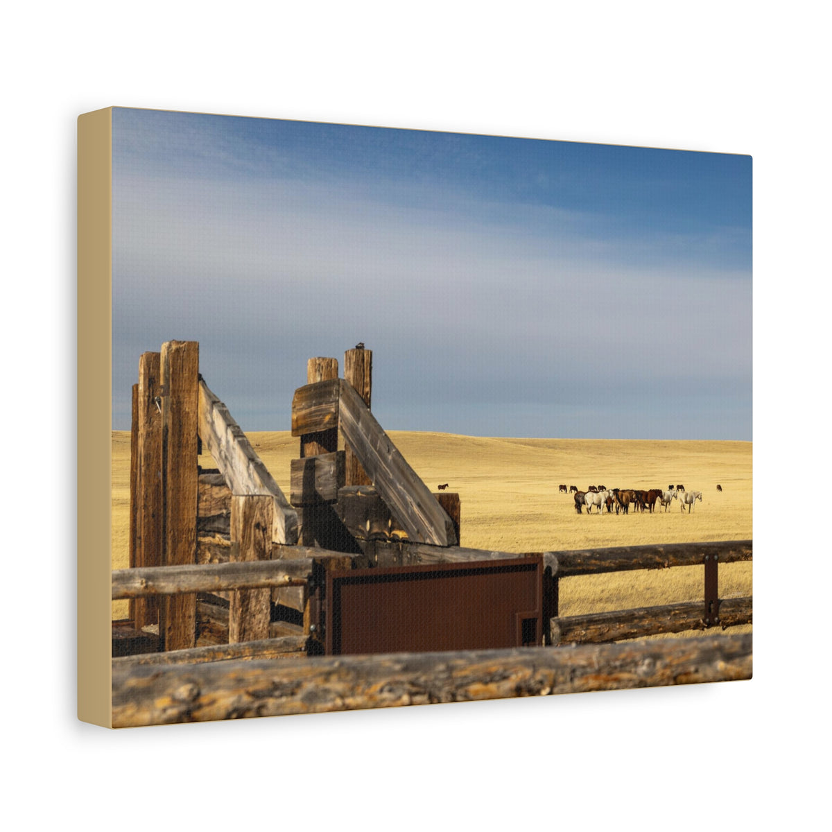 Rustic Open Range Horse Canvas Print — Stretched Matte Wall Art