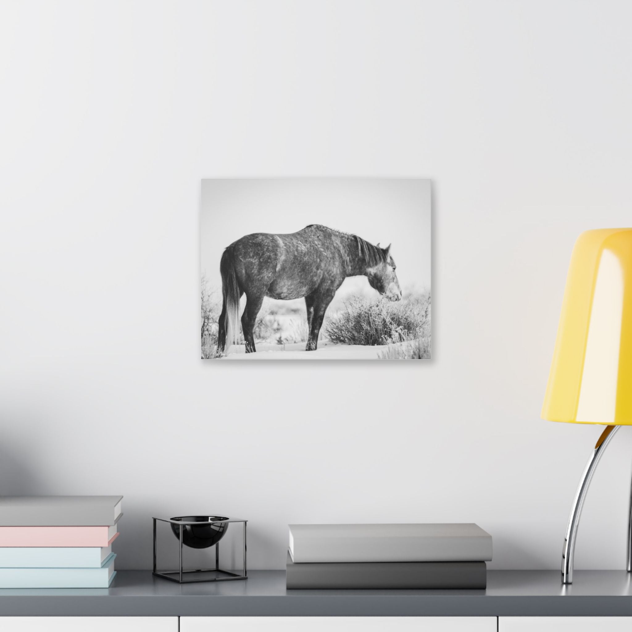 Black & White Wild Horse Canvas Print — Rustic Equestrian Wall Art