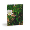 Floral White Morning Glory Greeting Cards — Pack of 8/16/24