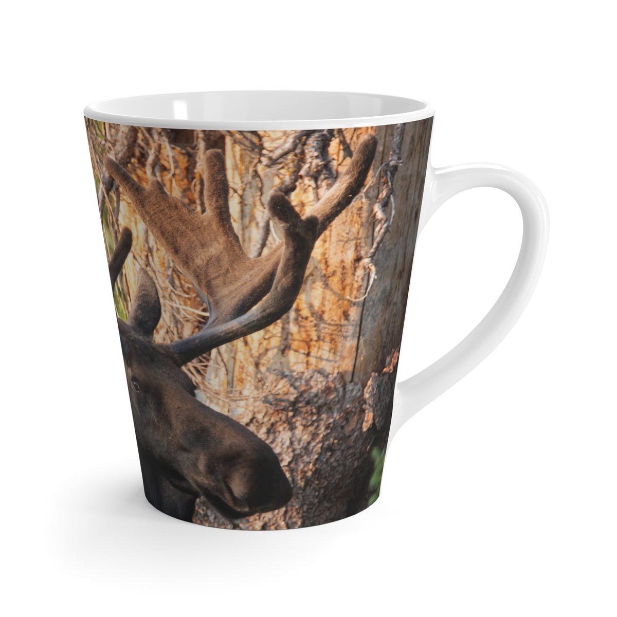 Bull Moose Antlers Latte Mug | Wildlife Photography, Nature Coffee Cup
