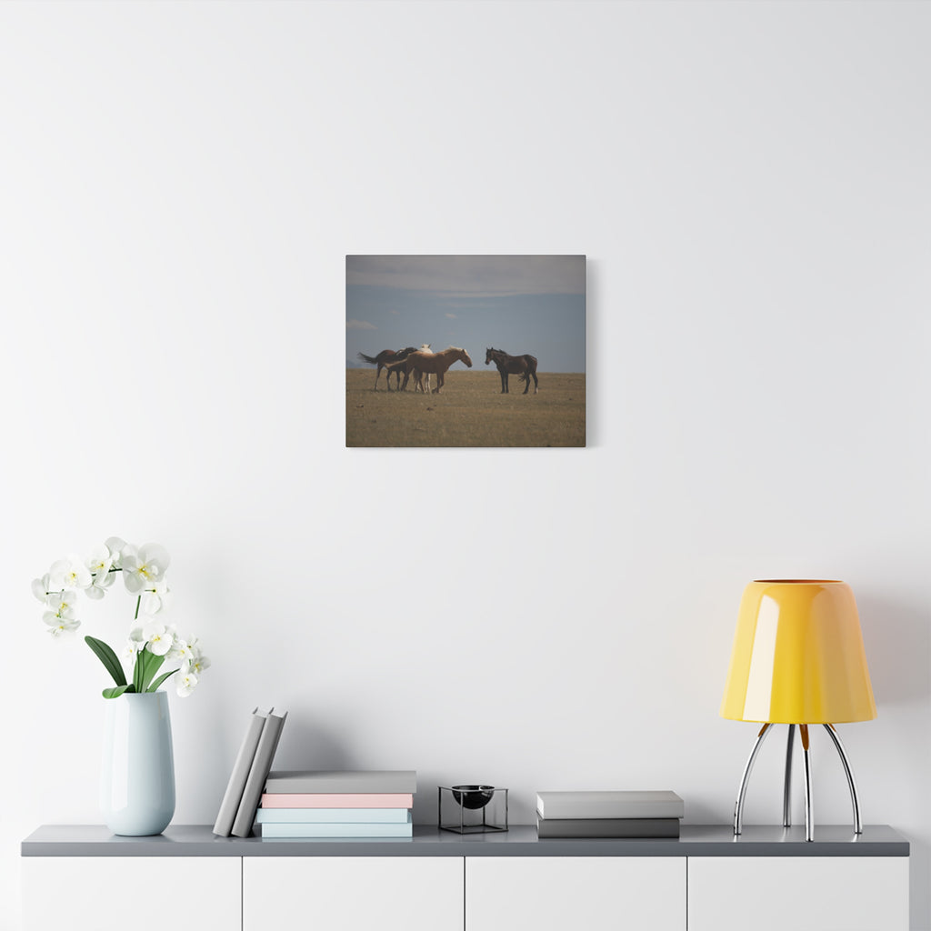 Wild Horses pastoral landscape canvas wall art by Printify, featuring a serene horse scene on stretched matte canvas.