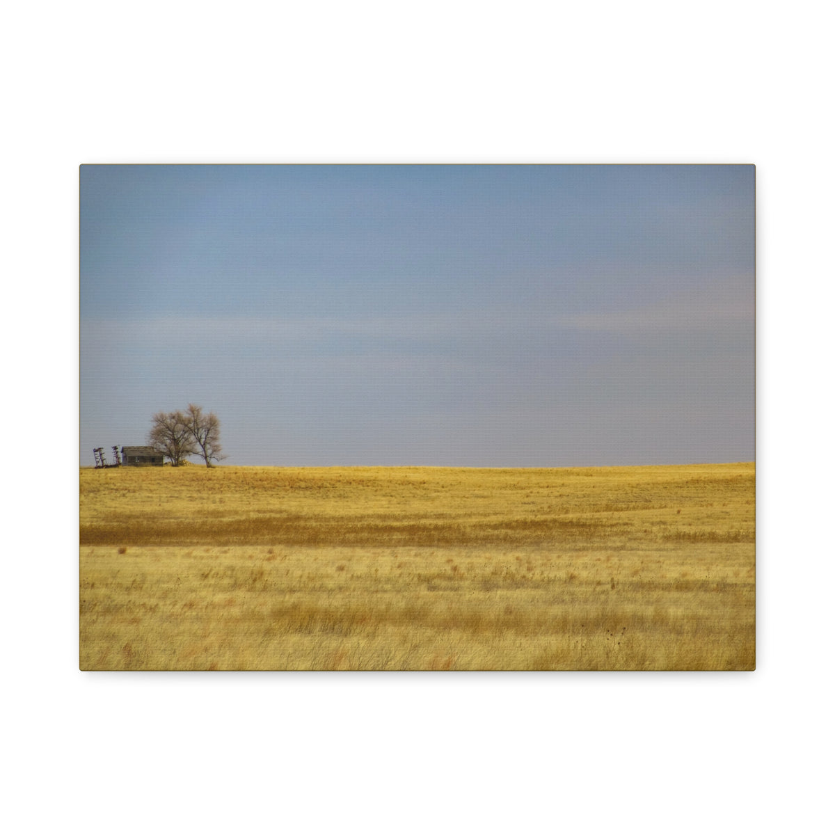 Minimal landscape canvas print of a prairie field by Printify, showcasing a serene natural scene with soft colors and detailed textures.