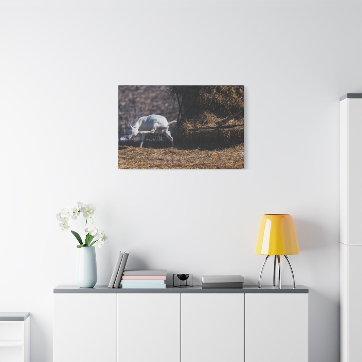 White Goat Canvas