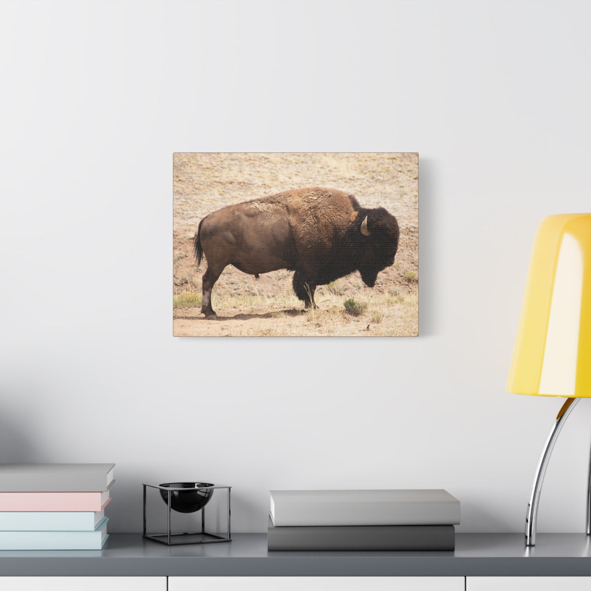 Bison Canvas Wall Art — Matte Stretched 1.25" Wildlife Print