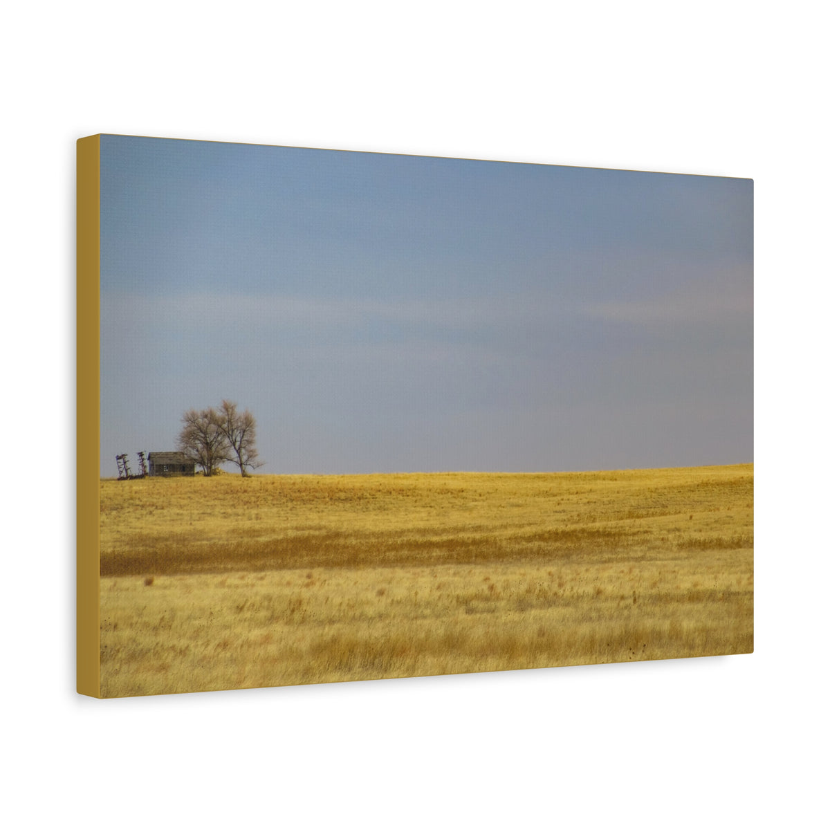 Prairie Field Canvas Print — Minimal Landscape Wall Art