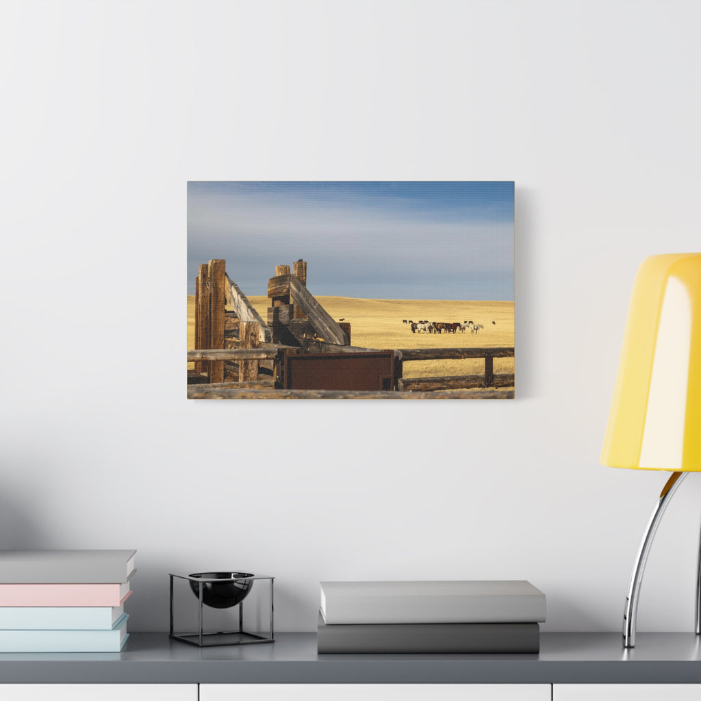 Rustic Open Range Horse Canvas Print — Stretched Matte Wall Art