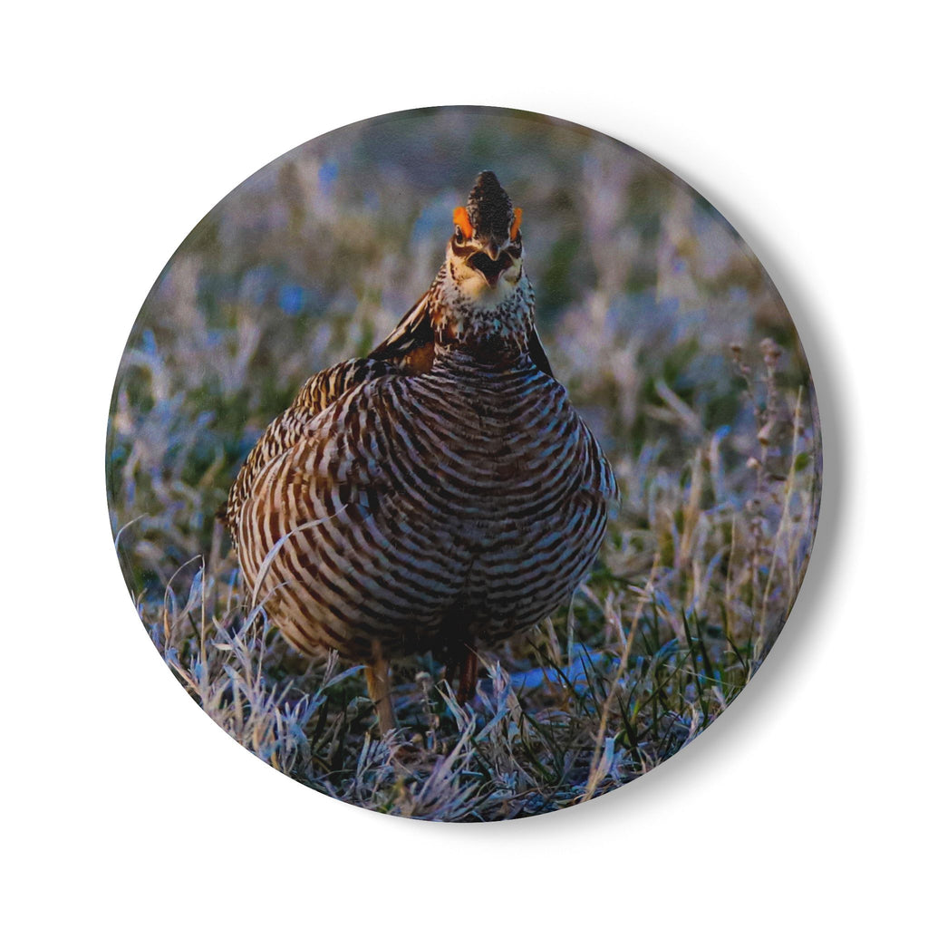 Ceramic Coaster — Northern Bobwhite Quail Photo Coaster