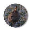 Ceramic Coaster — Northern Bobwhite Quail Photo Coaster