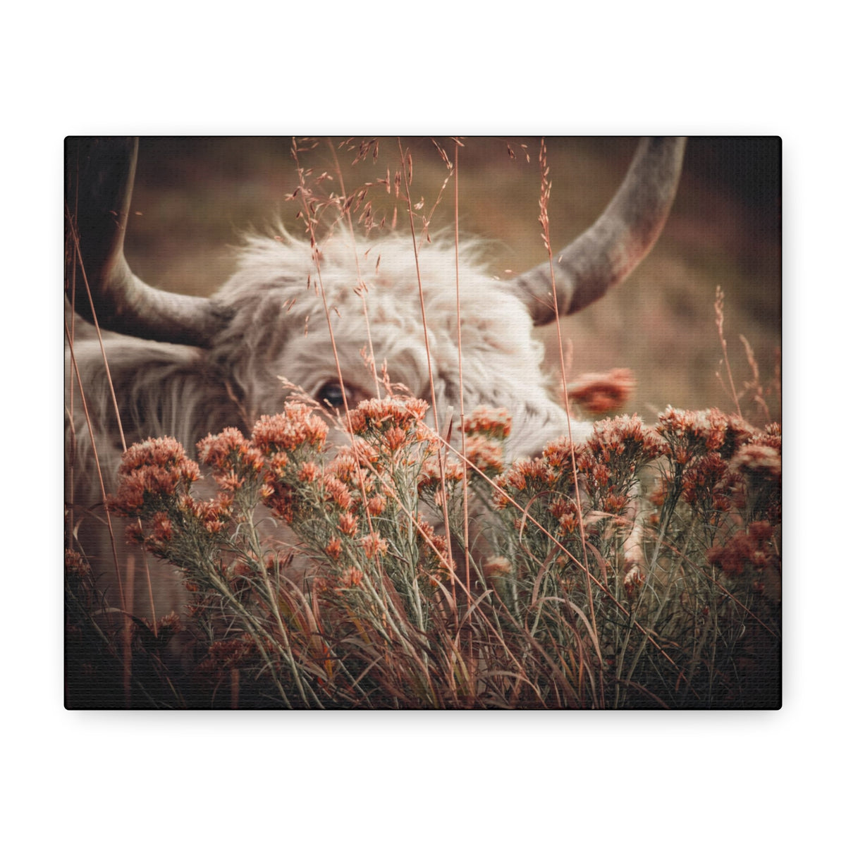 Highland cow canvas wall art featuring a rustic botanical meadow print by Printify, ideal for nature-inspired decor.