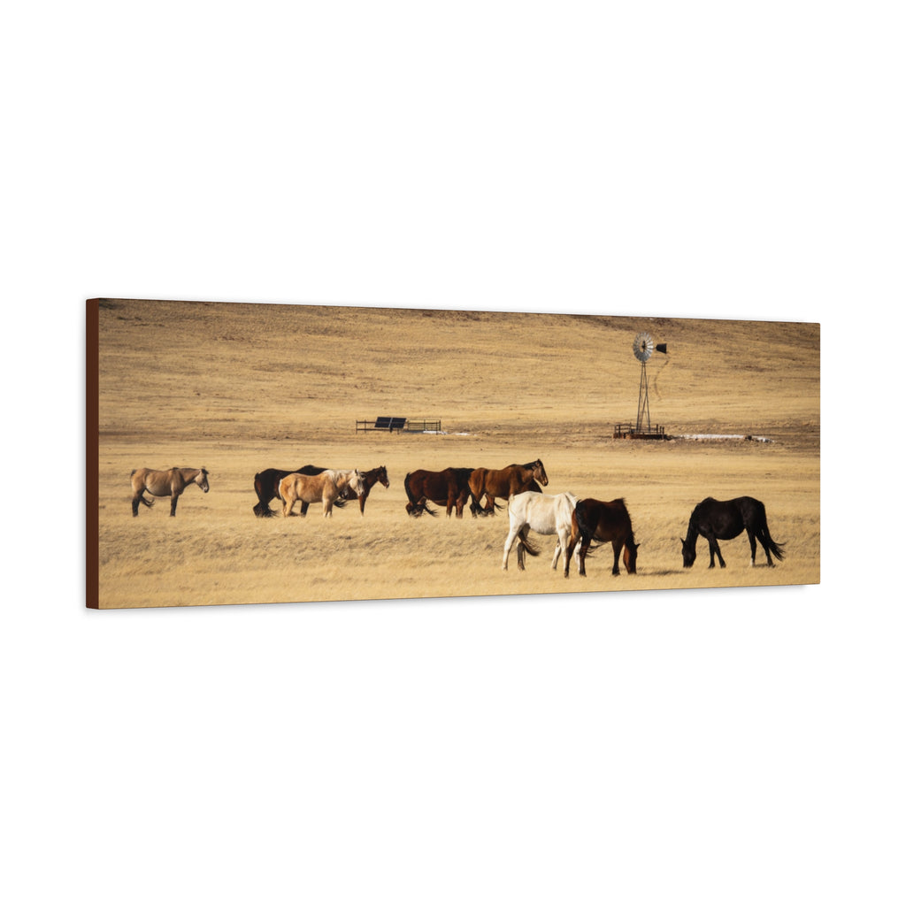Grazing Horses Canvas Print – Rustic Prairie Wall Art (Matte Stretched 1.25")