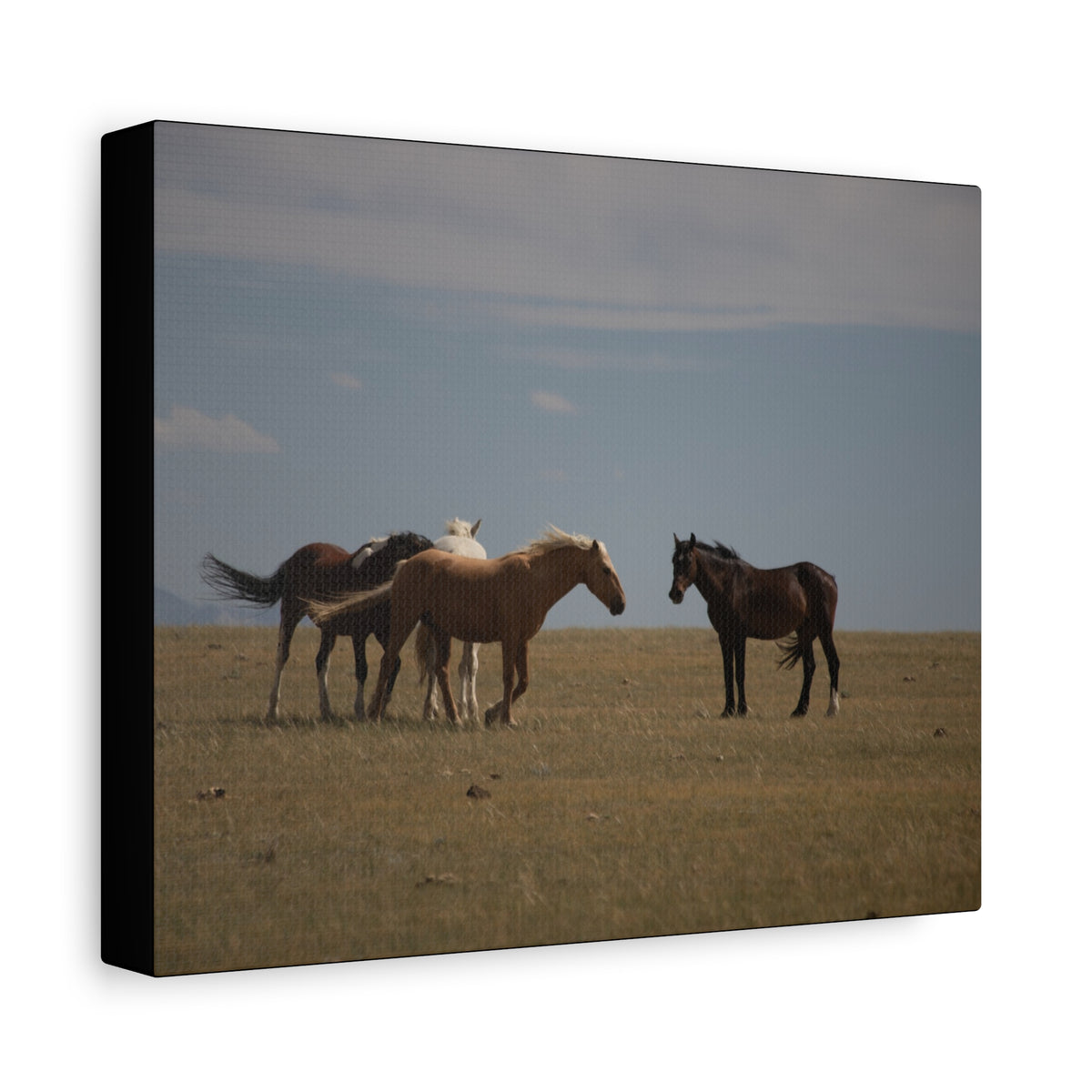 Wild Horses pastoral landscape canvas wall art by Printify, featuring a stretched matte canvas of wild horses in a natural setting.