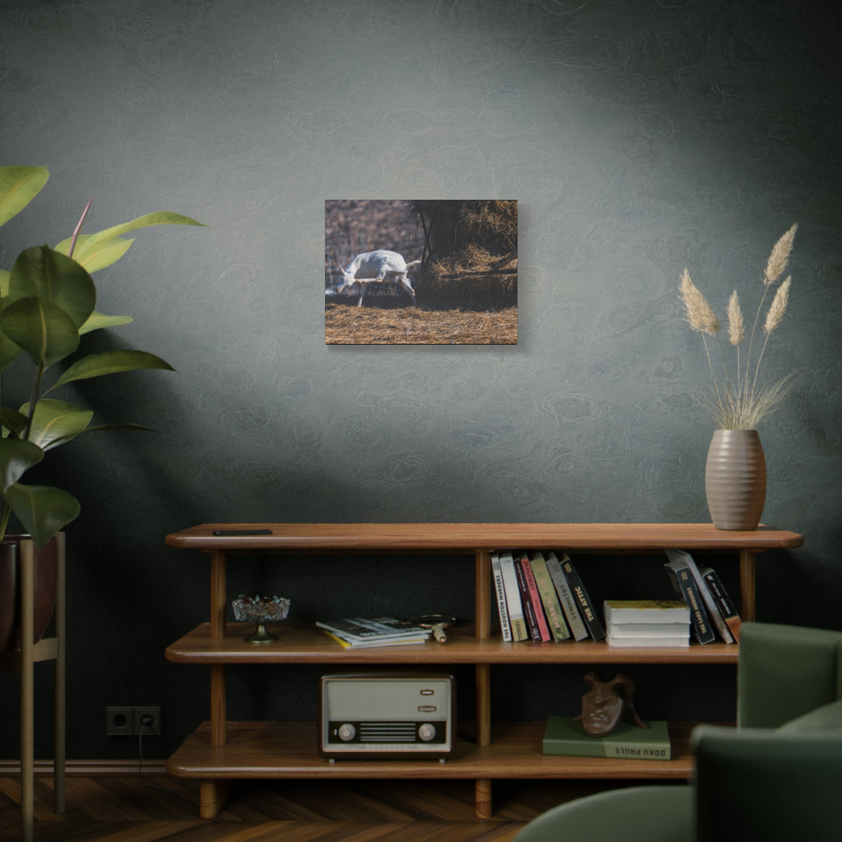 White Goat Canvas