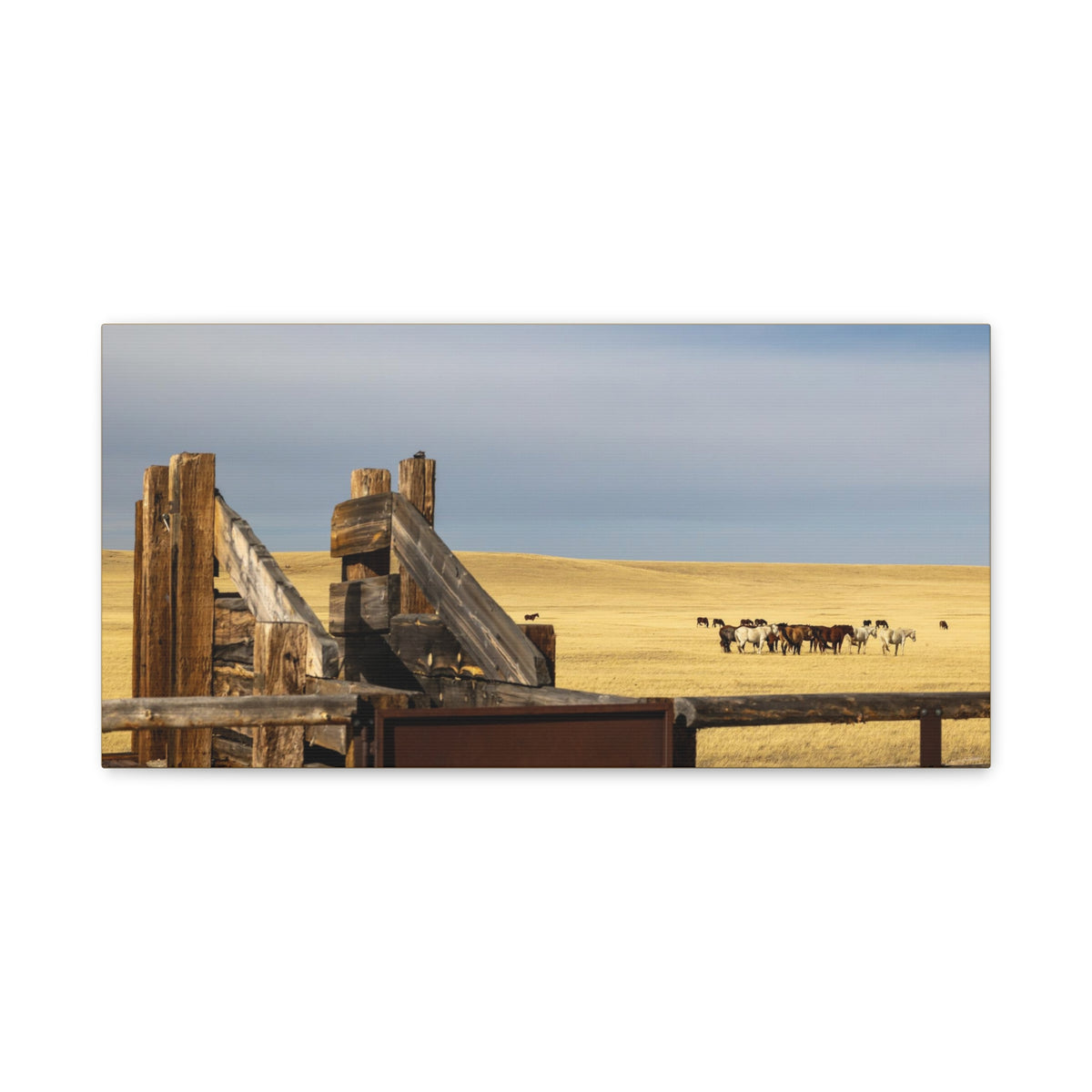 Rustic open range horse canvas print by Printify, stretched matte wall art featuring a detailed horse scene on canvas.
