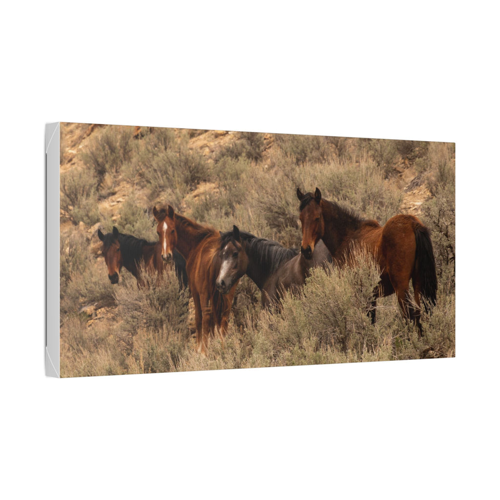 Wild Horses Canvas Print — Rustic Western Wall Art