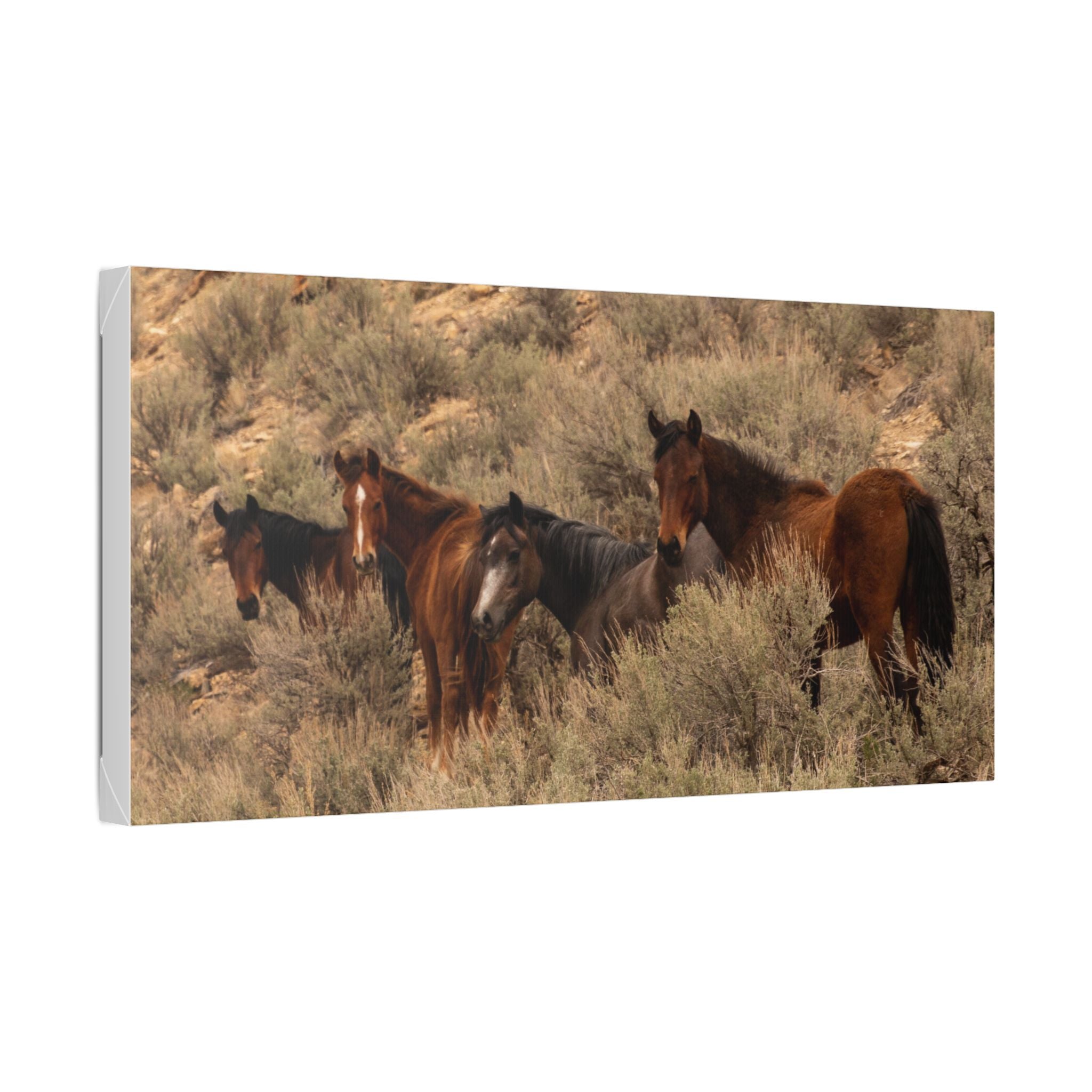 Wild Horses Canvas Print — Rustic Western Wall Art