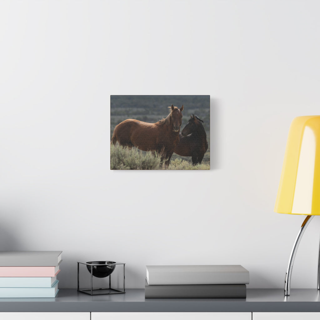 Wild Mustang Canvas Print — Rustic Horse Photography Stretched Matte Canvas