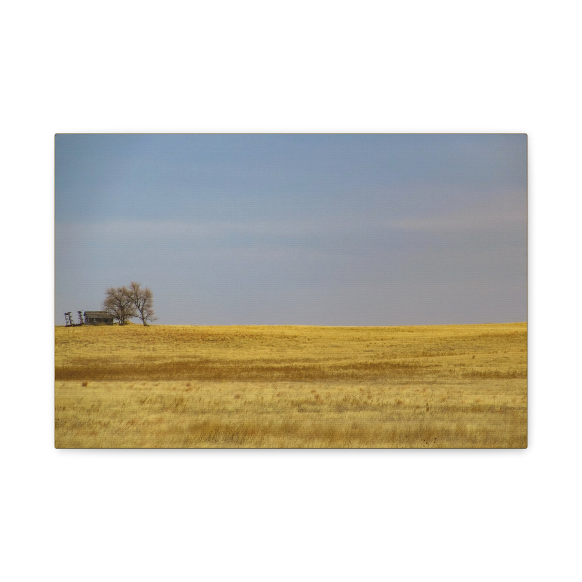 Prairie Field canvas print by Printify featuring minimal landscape wall art with open sky and grassy plains.