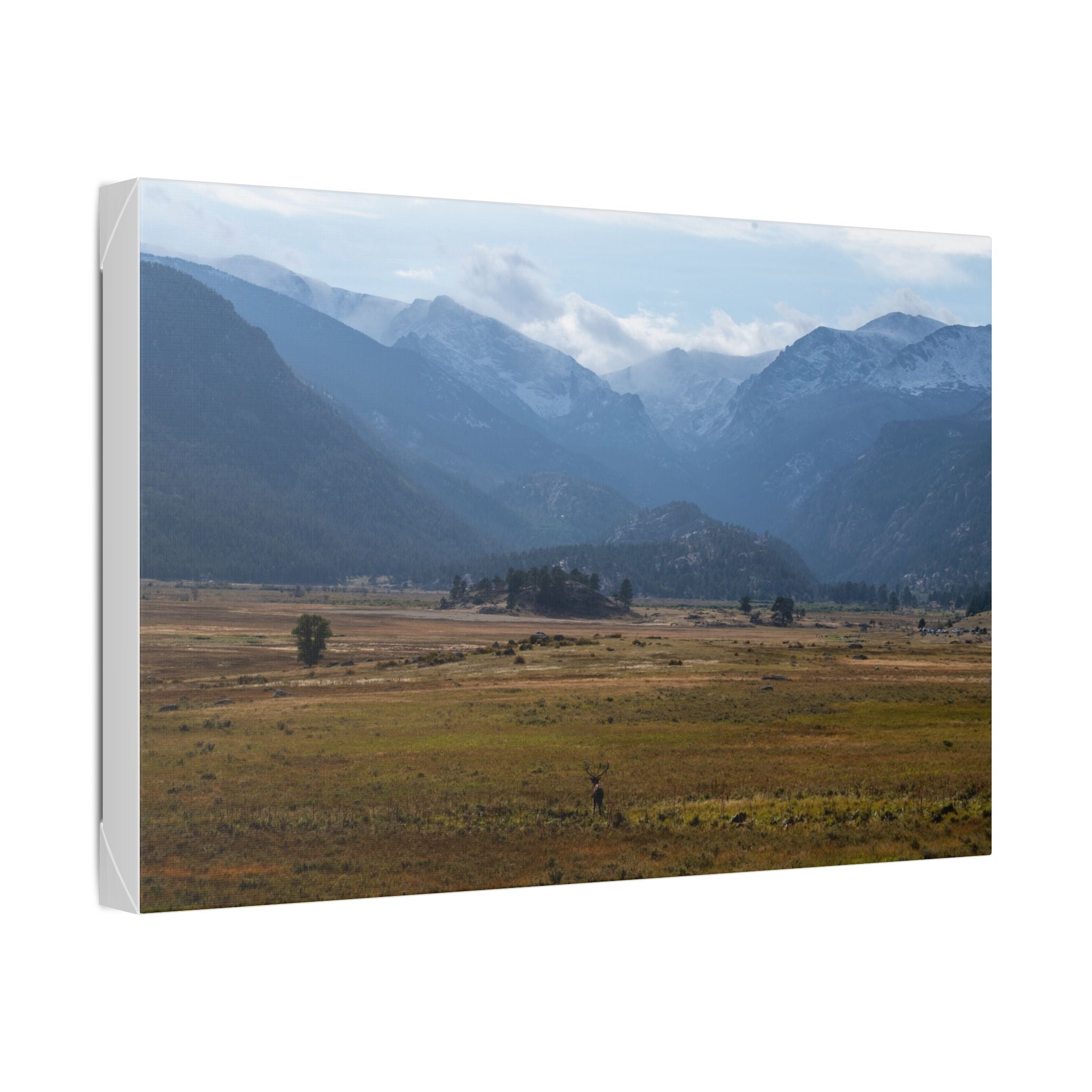 Mountain Valley Landscape Canvas Print — 'Elk in the Foreground' Stretched Wall Art