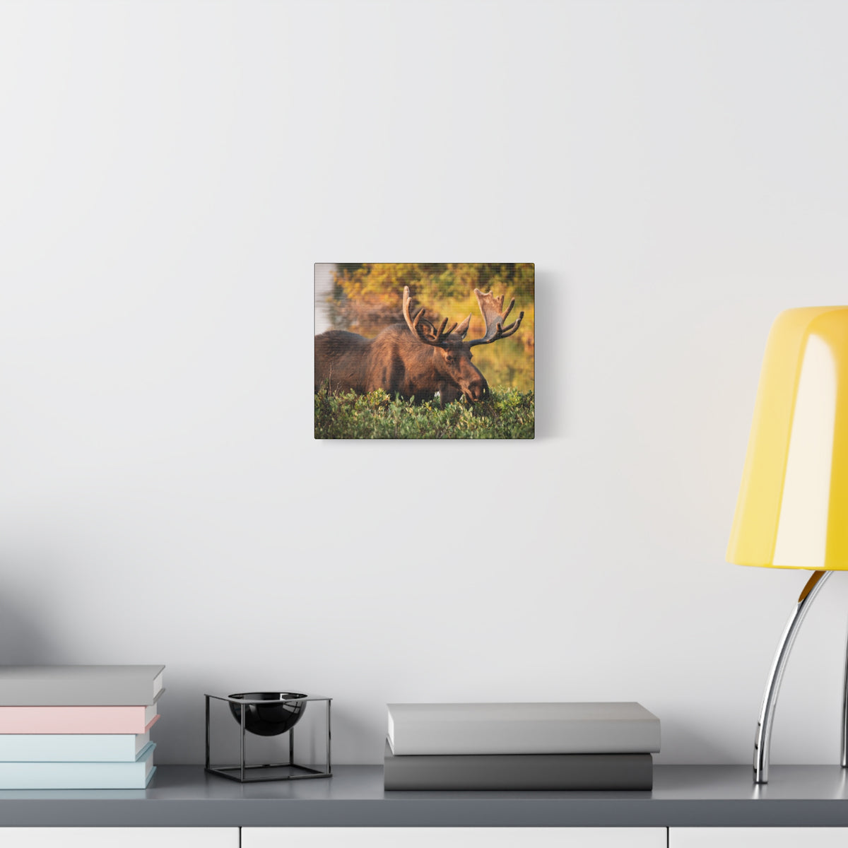 Bull Moose Wall Art Matte Canvas