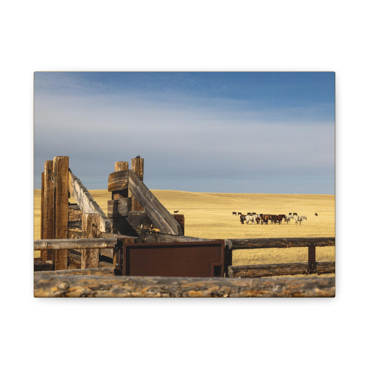 Rustic open range horse canvas print by Printify, stretched matte wall art featuring a detailed horse scene.