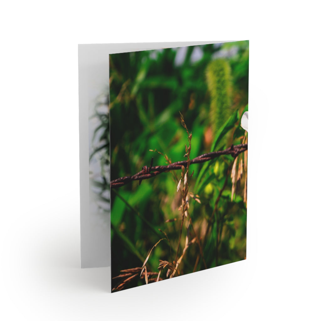 Floral White Morning Glory Greeting Cards — Pack of 8/16/24