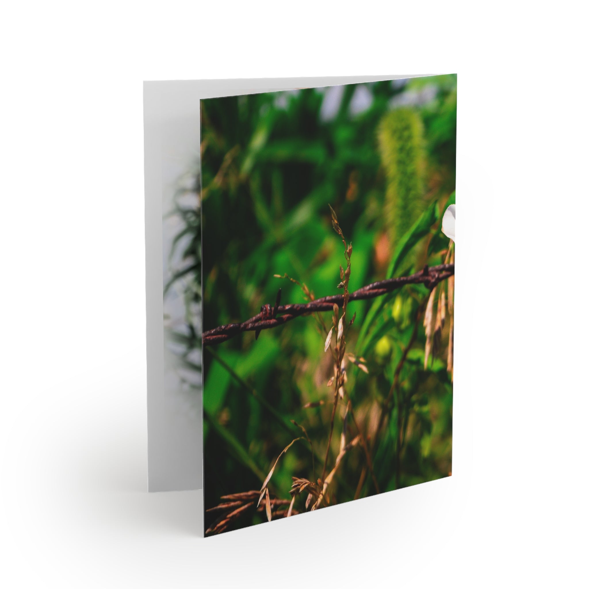 Floral White Morning Glory Greeting Cards — Pack of 8/16/24