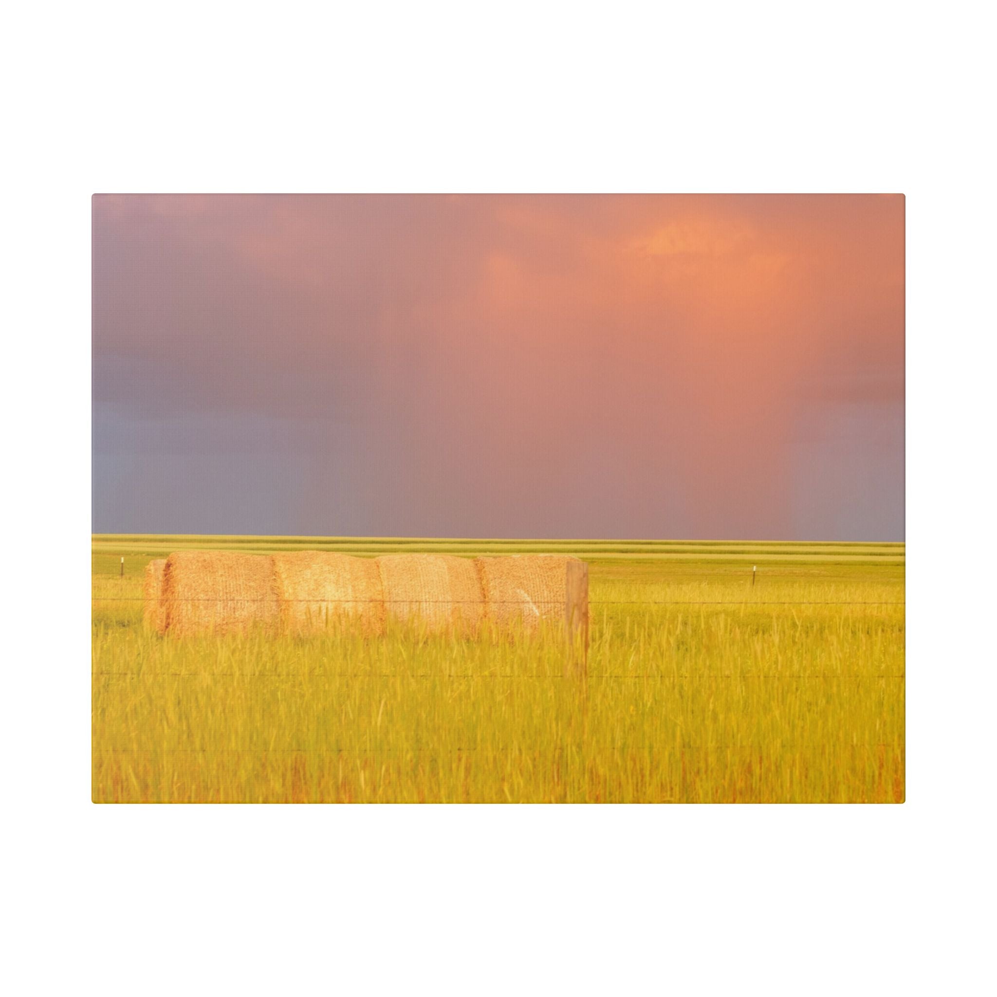Prairie Clouds Canvas Print — Golden Field with Rolling Western Clouds