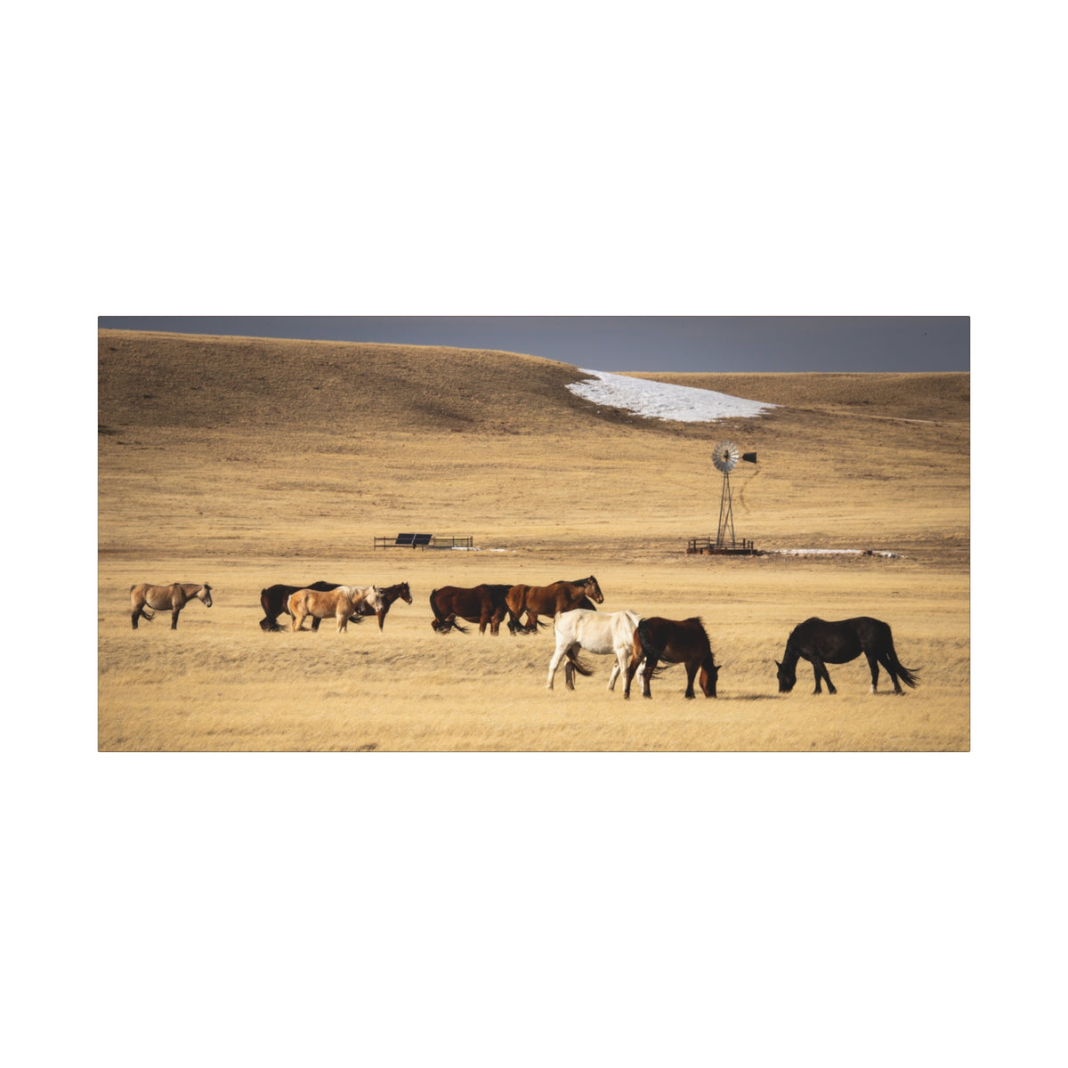 Rustic prairie canvas print of grazing horses, matte stretched 1.25-inch wall art by Printify, showcasing peaceful equine scene.