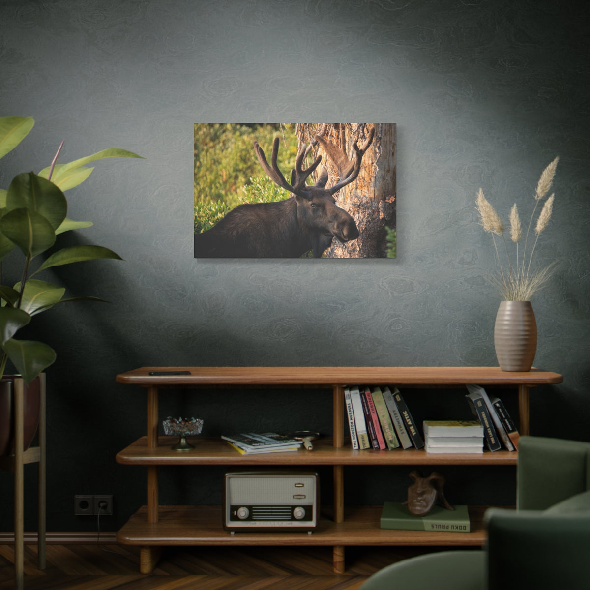 Bull Moose Antlers Canvas