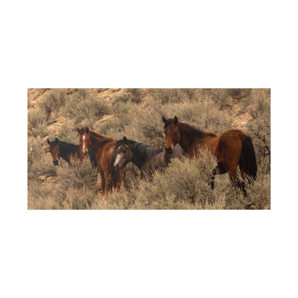 Wild Horses Canvas Print — Rustic Western Wall Art