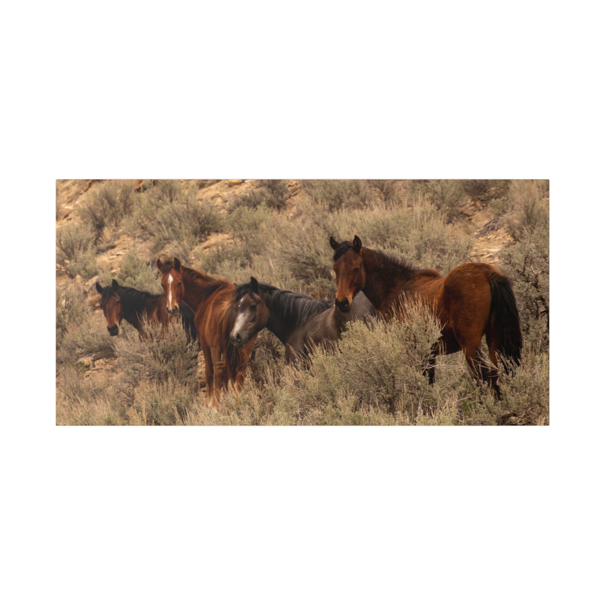 Wild Horses Canvas Print — Rustic Western Wall Art