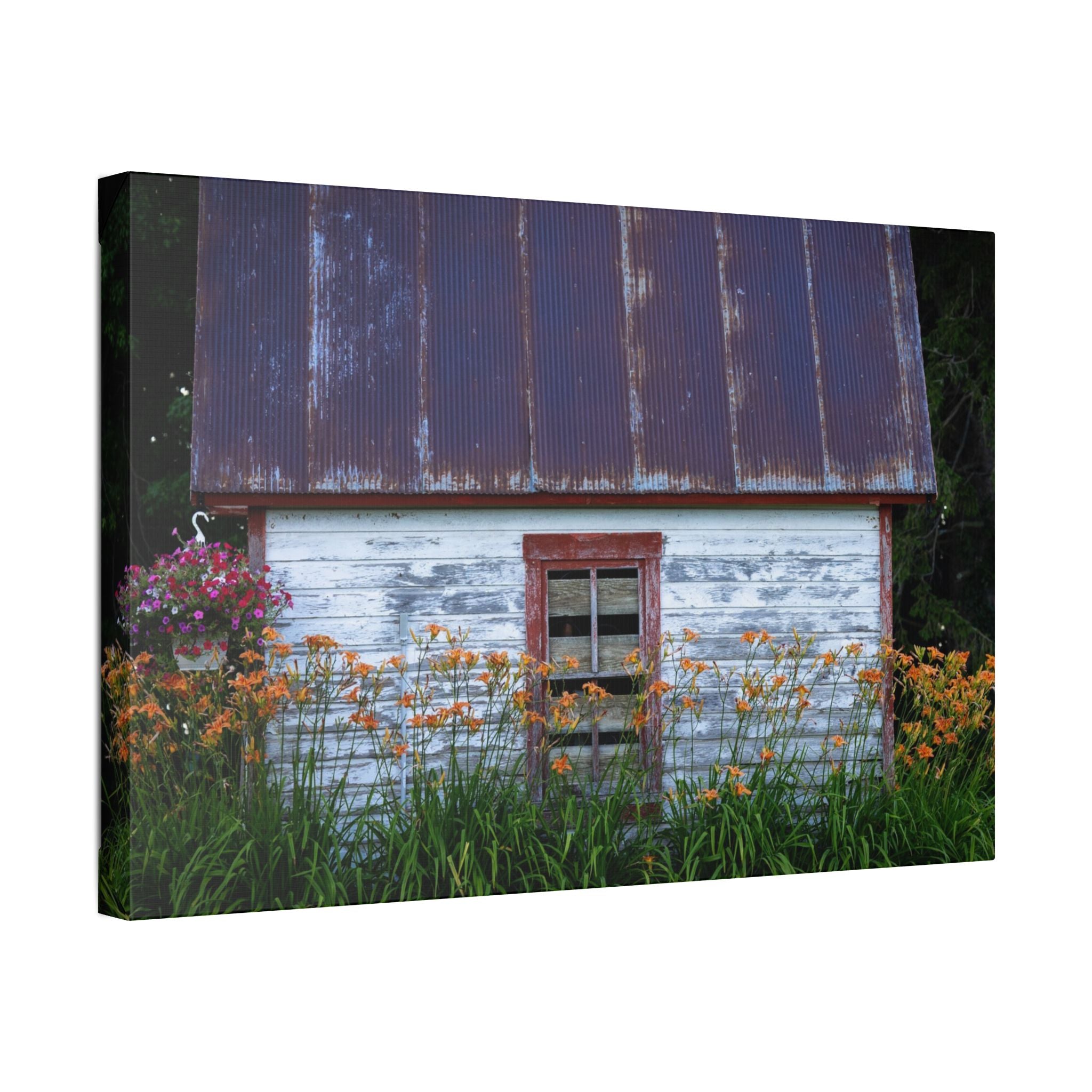 Rustic Cottage Canvas Print