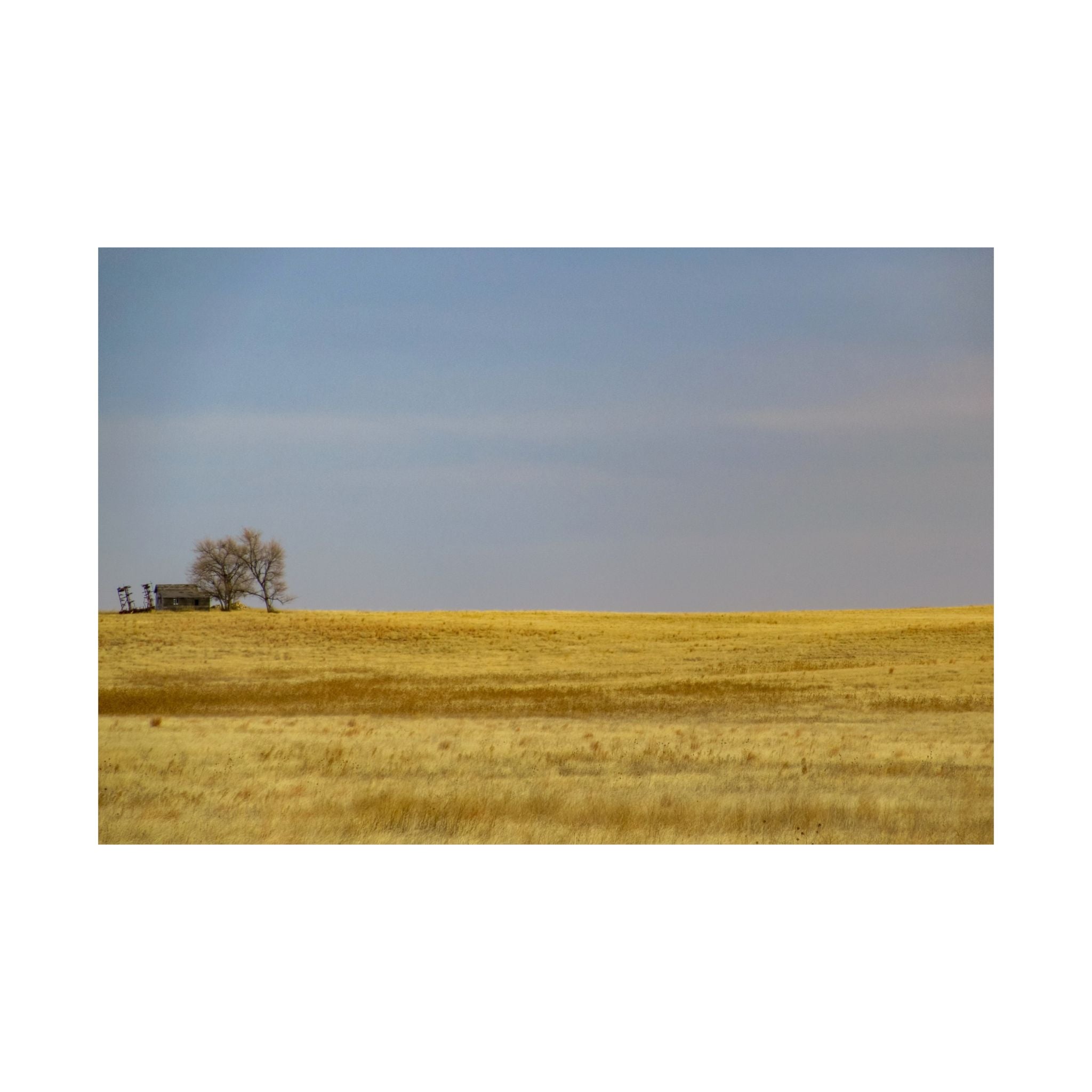 Golden Prairie Landscape Poster — Matte Horizontal Wall Art