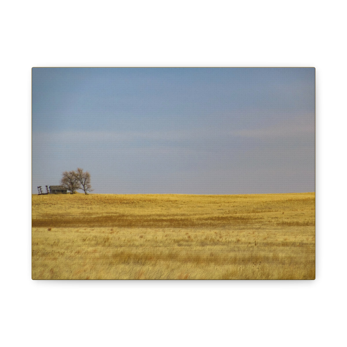 Prairie field landscape canvas print by Printify, minimal wall art with natural scenery and soft colors, suitable for home decor.