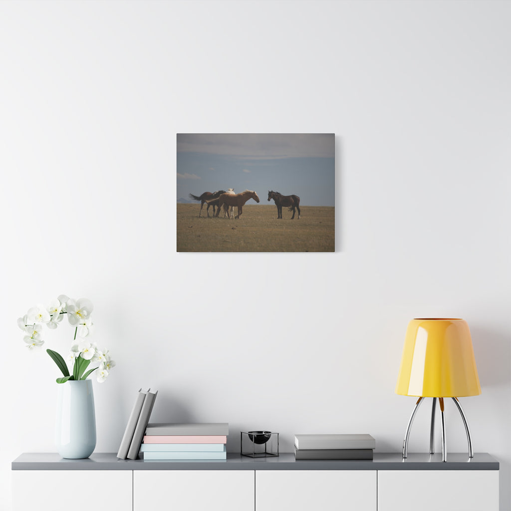 Wild Horses matte canvas wall art featuring a pastoral landscape, stretched canvas print by Printify.