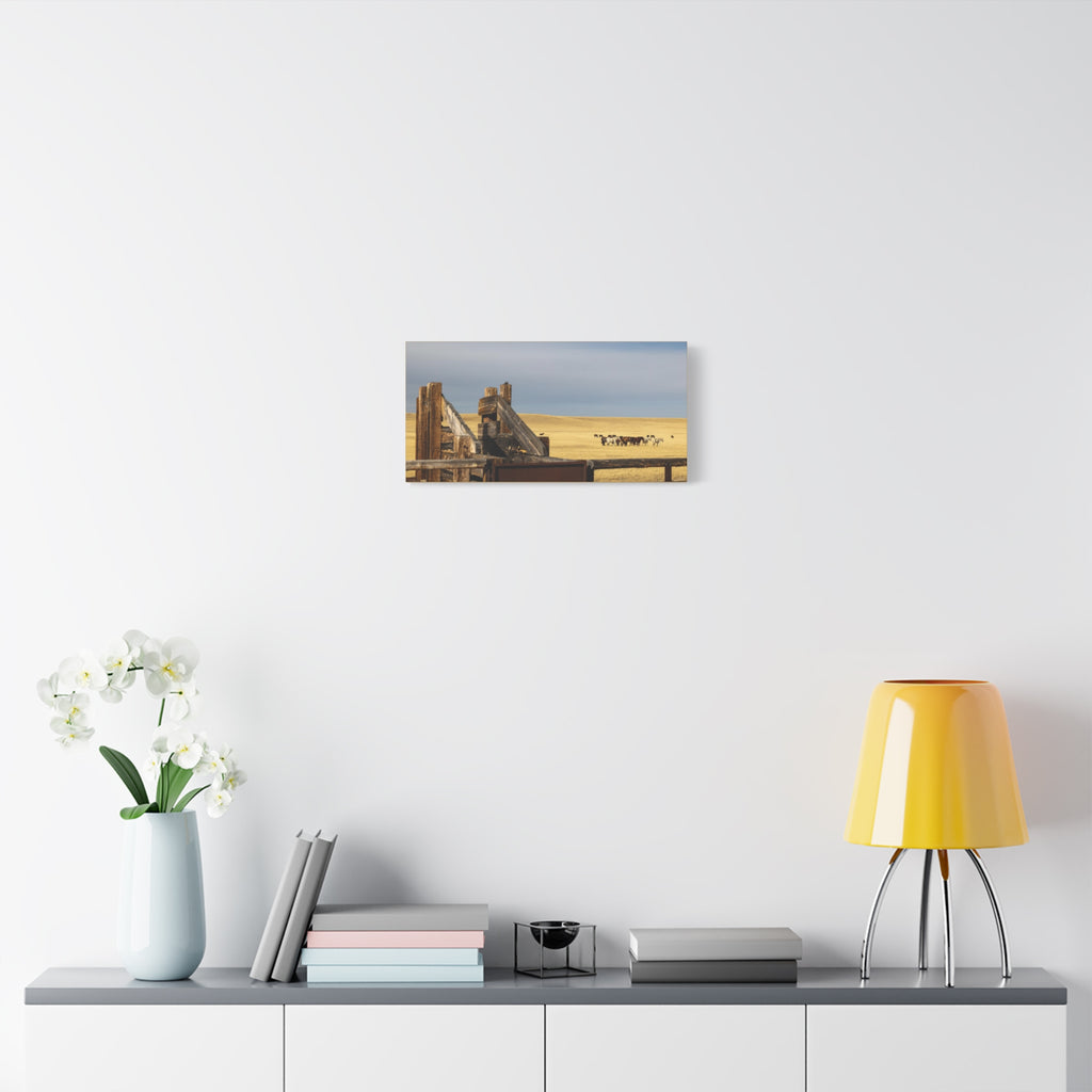 Rustic Open Range Horse Canvas Print — Stretched Matte Wall Art