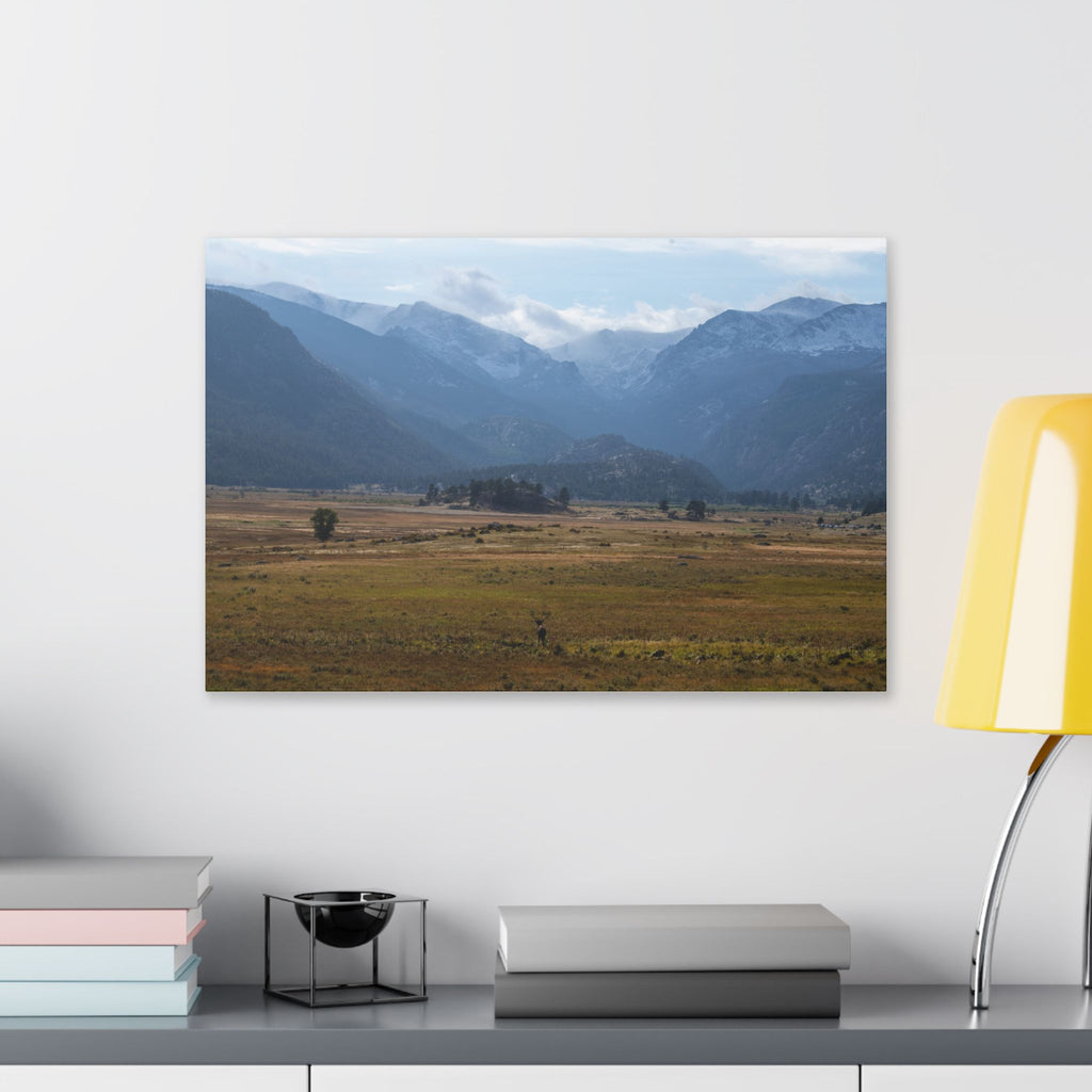 Mountain Valley Landscape Canvas Print — 'Elk in the Foreground' Stretched Wall Art