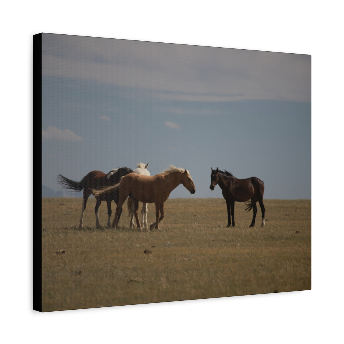 Wild Horses pastel landscape canvas wall art by Printify featuring a pastoral scene with wild horses on a stretched matte canvas.
