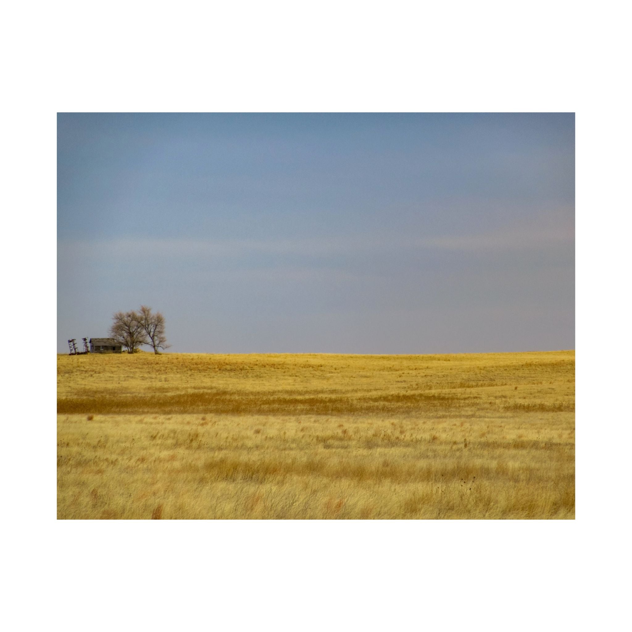 Golden Prairie Landscape Poster — Matte Horizontal Wall Art