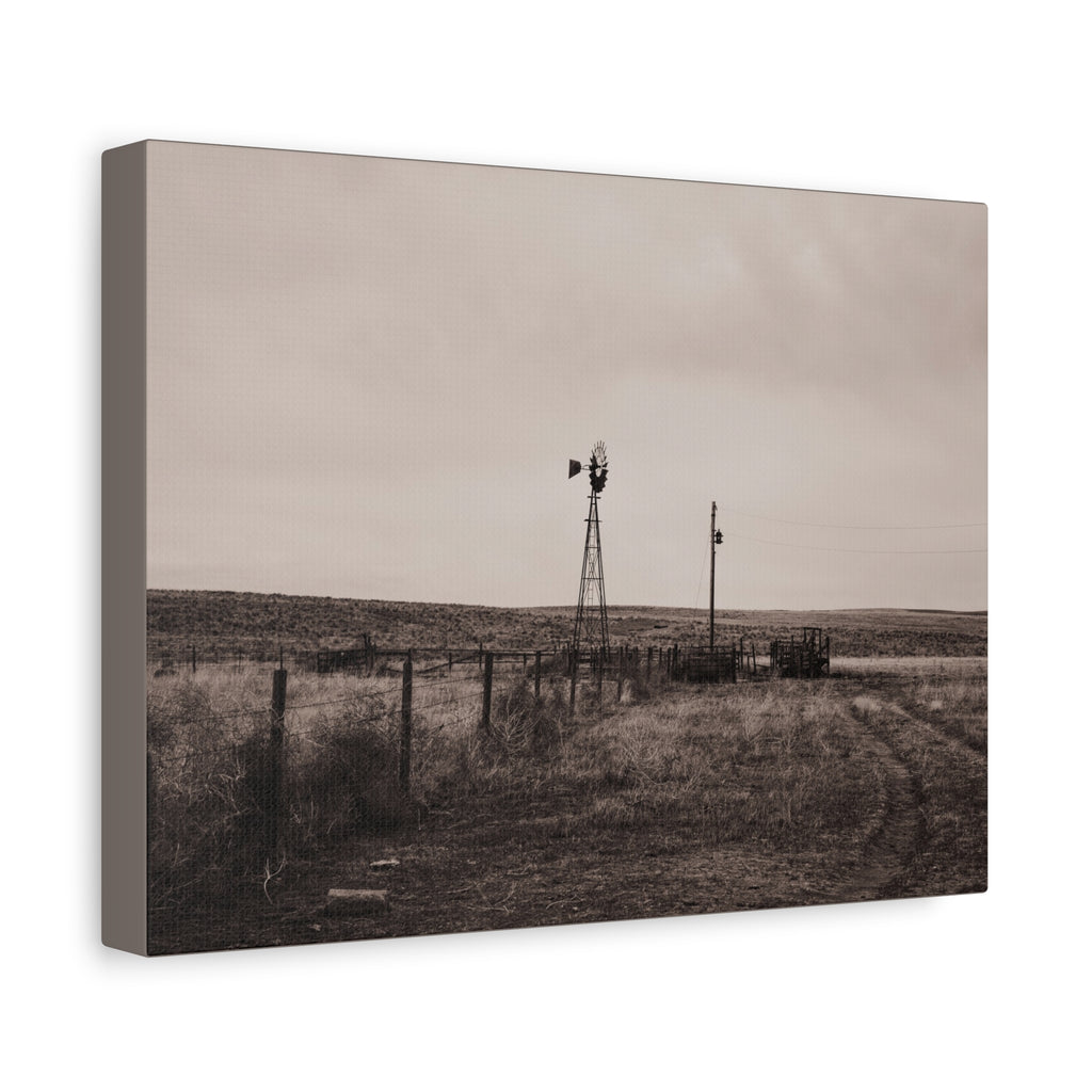 Windmill Pasture Matte Canvas Print — Sepia Rural Landscape Wall Art