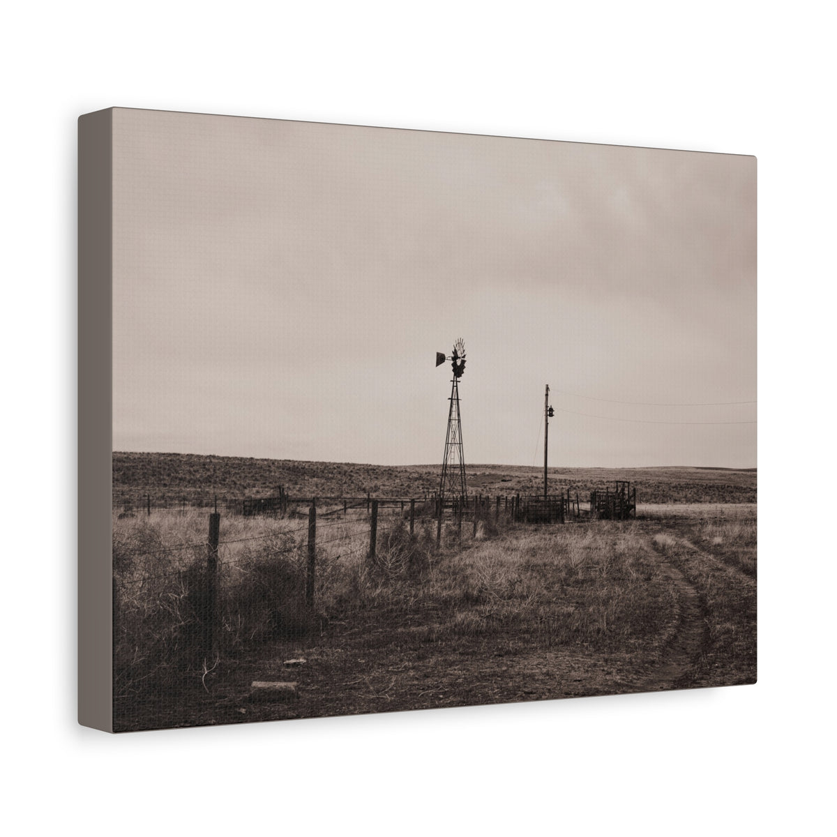 Windmill Pasture Matte Canvas Print — Sepia Rural Landscape Wall Art